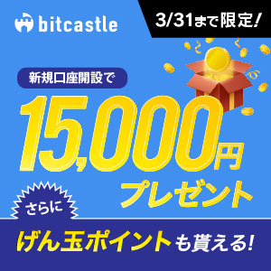 bitcastle FXy15,000~v[gLy[z