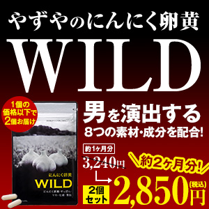 ɂɂWILD 2,850~ 