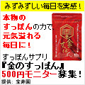 ̂ۂ 500~j^[